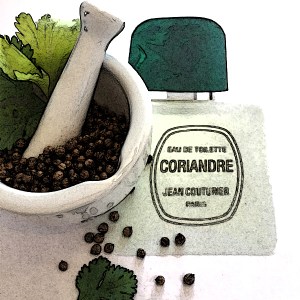 coriandre edgy