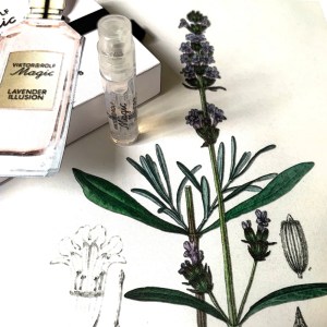 lavender illusion edge